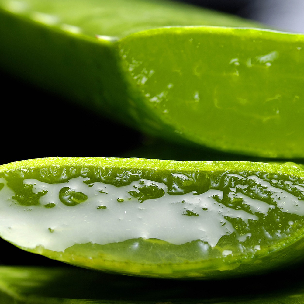 How to use Aloe Vera Gel to remove dark circles