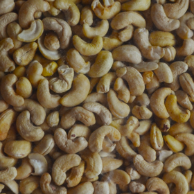 Cashew